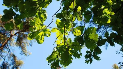 photo_8921152