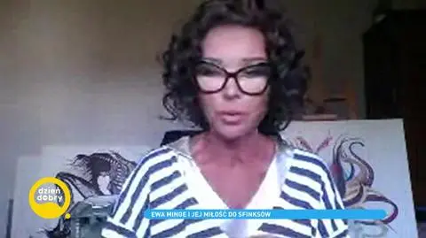 Ewa Minge, posiadaczka sześciu Sfinksów o pierwszym spotkaniu z kotem bez sierści: „Było to niesamowicie brzydkie, a zarazem rozczulające”