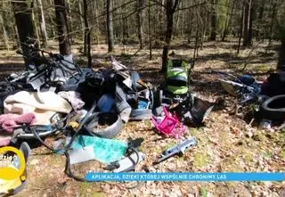 Polskie lasy toną w śmieciach. Nadleśnictwo Gdańsk uruchomiło specjalną aplikację