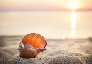 Włochy. Kary dla turystów, którzy wywożą piasek z plaż Sardynii