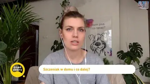 Jak przygotować się na szczeniaka? Pierwsze dni czworonoga w domu
