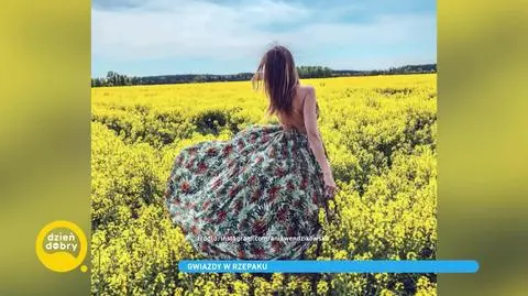 Zdjęcia w rzepaku. Na czym polega nowy hit na Instagramie?