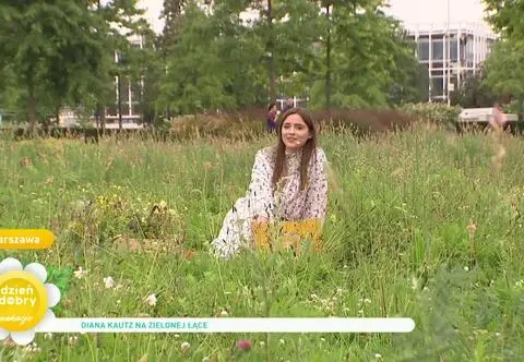 Kwiatowe łąki - zalety i wpływ na klimat