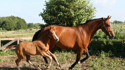 photo_8921152