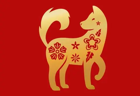Pies - chińskie znaki zodiaku. Charakterystyka znaku Psa | Dzień Dobry TVN