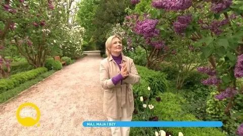 Jak uprawiać bez? Maja Popielarska radzi: „Jest doskonały, bo wymaga niewiele”