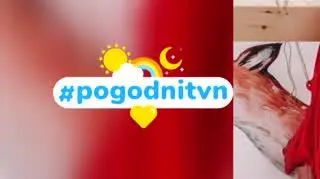 Pogodni TVN