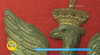 Tajemnica zaginionego orła z Zamku Królewskiego