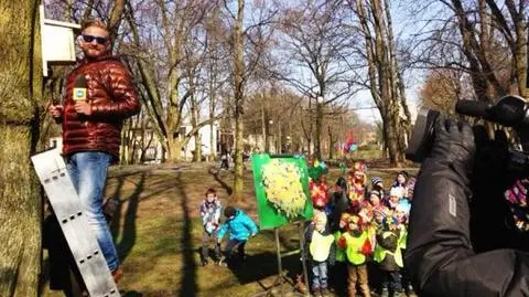 M1 dla ptaków. Czy pomagać im budować budki lęgowe?