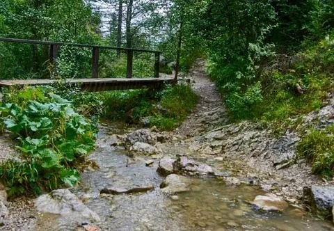 Wąwóz Homole - wyjątkowa atrakcja przyrodnicza w Pieninach