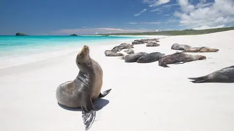 Wyspy Galapagos - co warto tam zobaczyć?