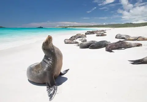 Wyspy Galapagos - co warto tam zobaczyć?