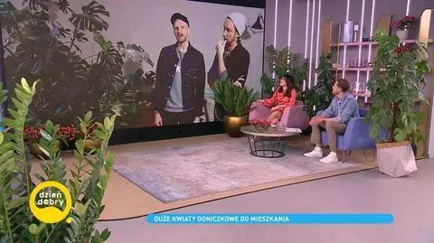 Jak pielęgnować duże rośliny w domu? Sposoby florystów