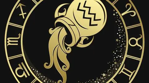 Wodnik – znak zodiaku, charakterystyka, cechy | Dzień Dobry TVN