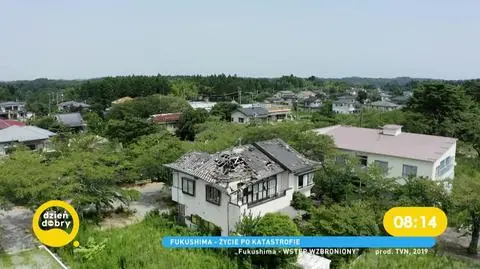 Fukushima - 8 lat po katastrofie jądrowej. Jak teraz wygląda tam życie?