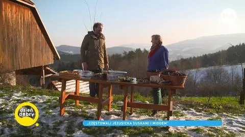 Mikołaj Rey na tropie suski sechlońskiej. Co to jest? Czym zaskoczył go Beskid Wyspowy?