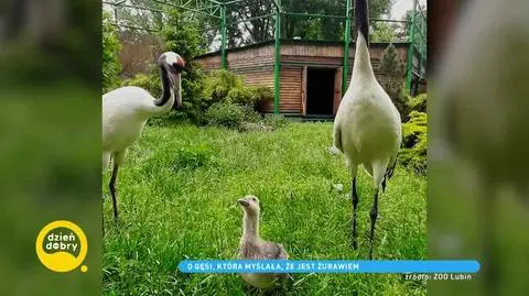 photo_8920928