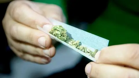 Marihuana "rekreacyjna" kiedy legalna w Polsce? Ile będzie kosztować?