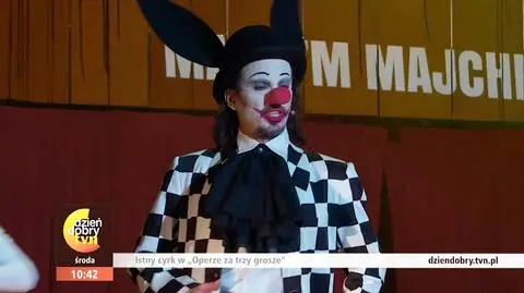 Istny cyrk w "Operze za trzy grosze"