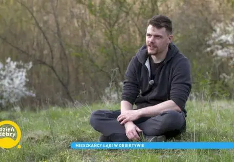 Konrad Krawczyk - fotograf owadów o swojej pasji: "Kosmici są wokół nas"