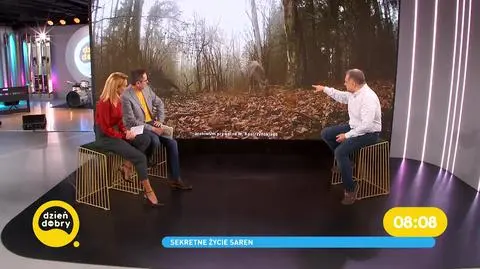 "Marcin z lasu". Niezwykły okres dla saren