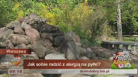 Jak radzić sobie z alergią na pyłki?