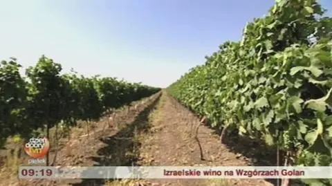 Izraelskie wino na Wzgórzach Golan