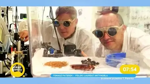 Antynoble rozdane, Polacy wśród laureatów za odkrycie dotyczące karaluchów