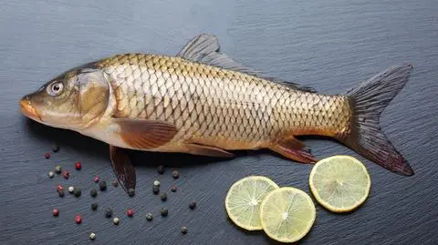 Karp wigilijny po żydowsku w galarecie - przepis. Jak go przyrządzić?