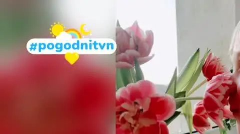 DD_20220319_Pogodni_REP