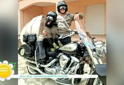 Z psem na motorze przejechał 7000 km. Historia Diego