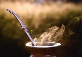 Yerba mate - właściwości, jak przyrządzić i jak pić
