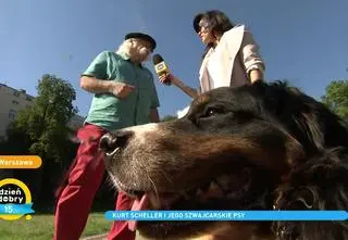 Kurt Scheller - znany szef kuchni pokazał swoje psy. Berneński pies pasterski - co to za rasa?