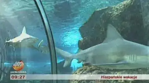 Wakacje w Hiszpanii