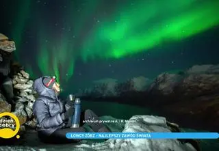 Zorza polarna. Gdzie występuje to zjawisko i kiedy najlepiej ją oglądać?