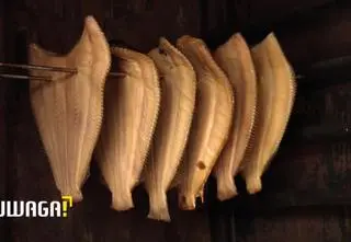 Uwaga! TVN. W Bałtyku jest coraz mniej ryb. Dlaczego?