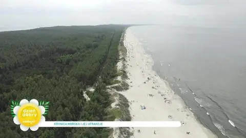 Krynica Morska - jakie atrakcje oferuje? Długa i piękna plaża to tylko początek