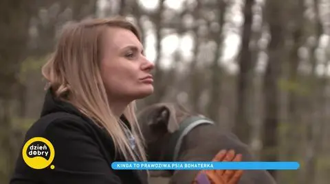 Prawniczka od 11 lat prowadzi dom tymczasowy dla psów. „Jakoś mi nie po drodze do kariery, a zawsze mi po drodze do zwierząt”
