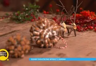 Najpiękniejsze ozdoby świąteczne z naturalnych materiałów. DIY