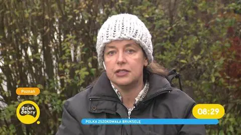 Apel dyrektorki poznańskiego zoo w Brukseli