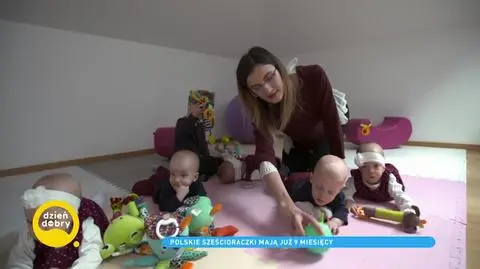Dzień z życia polskich sześcioraczków. "Ciężko sobie wyobrazić, jak to będzie, kiedy oni nauczą się przemieszczać po domu"