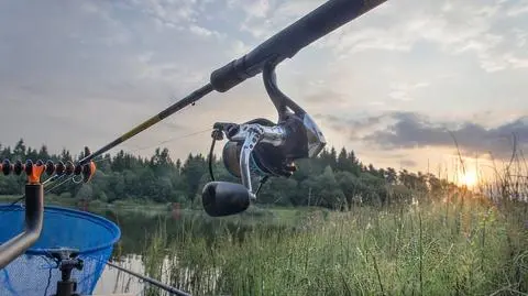 Kołowrotek karpiowy - z wolnym biegiem, do 300 zł | Dzień Dobry TVN