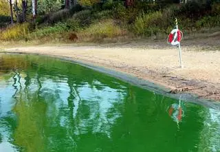 Sinice w Bałtyku 2021. Które plaże nad morzem są zamknięte?