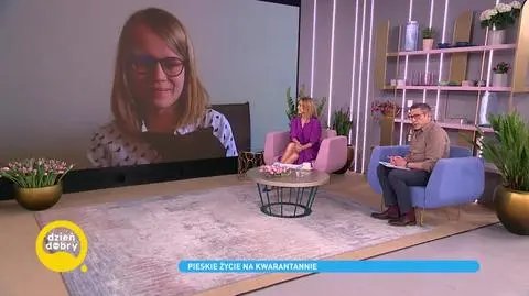 Koronawirus w Polsce: schronisko na Paluchu bez wolontariuszy i z nowymi zasadami adopcji zwierząt