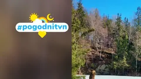 DD_20220402_Pogodni_REP