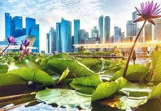 Singapur - największe atrakcje. Co warto tam zobaczyć?
