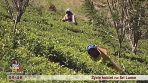 Zycie kobiet na Sri Lance