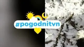 Pogodni TVN 