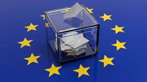 Wyniki wyborów do Europarlamentu 2019: kto otrzymał mandaty? PKW ma 99% głosów
