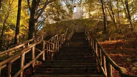 Lipowiec – historia zamku, zwiedzanie